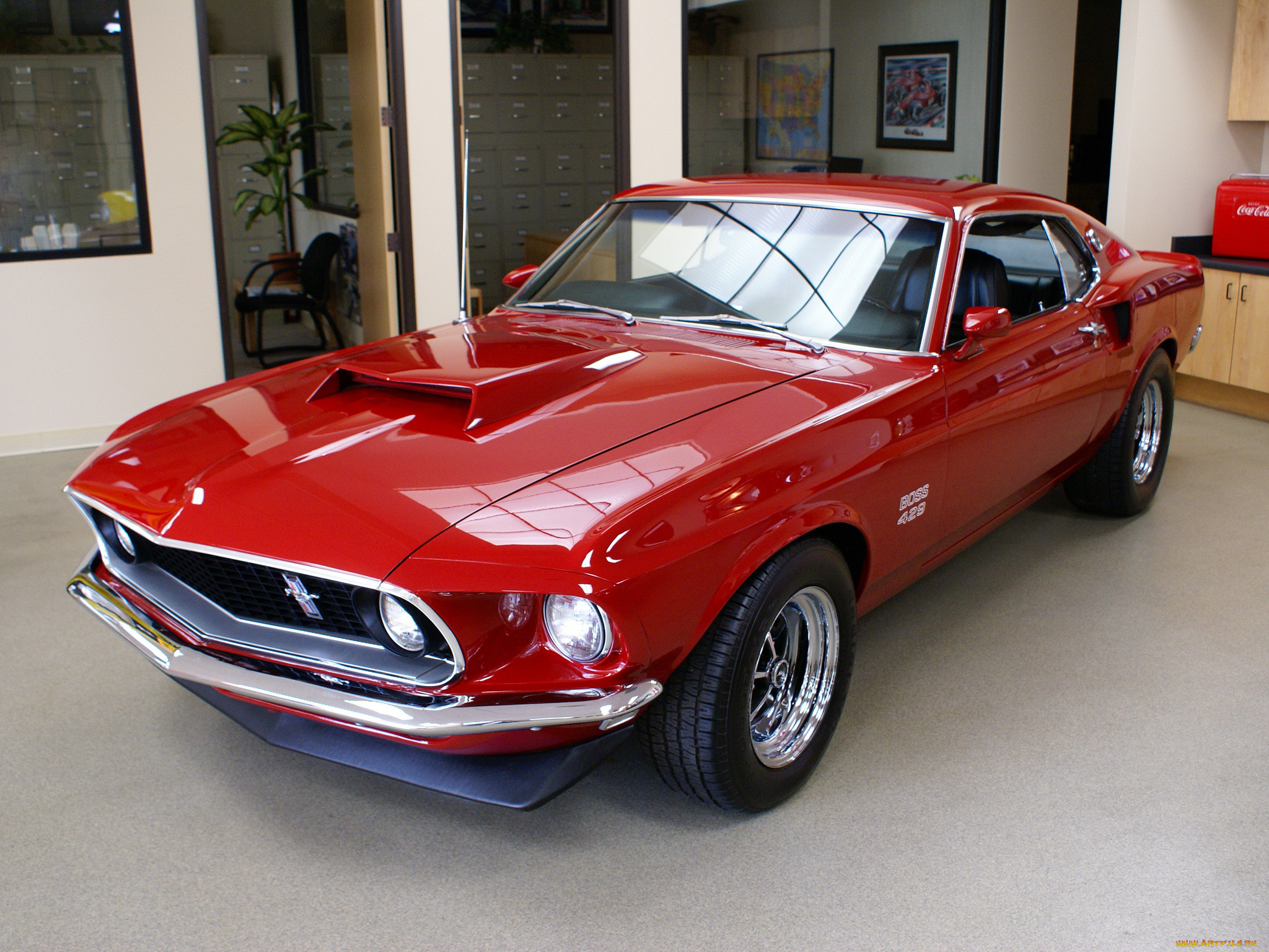 , mustang